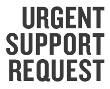 Urgent-web-development-Support