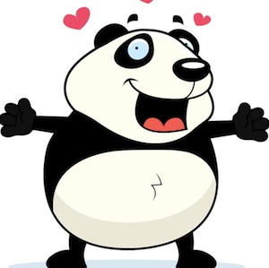 What is a Panda SEO Diet